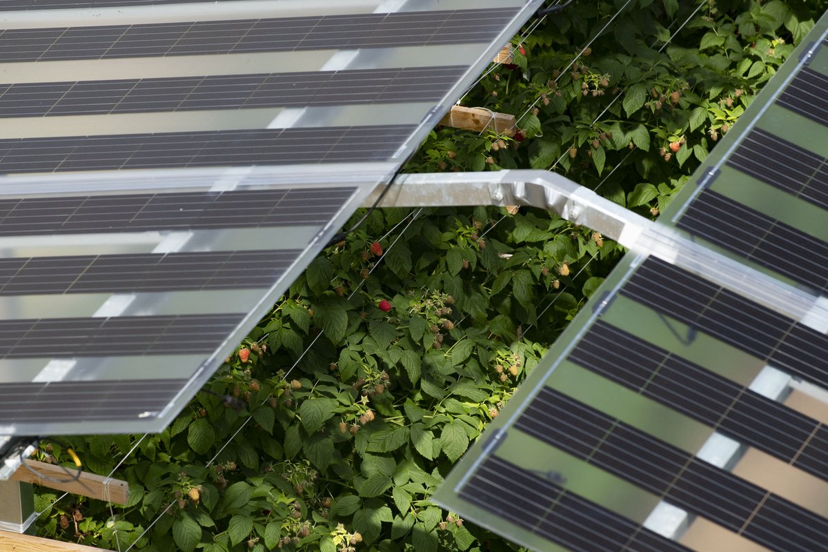 Besondere PV-Module