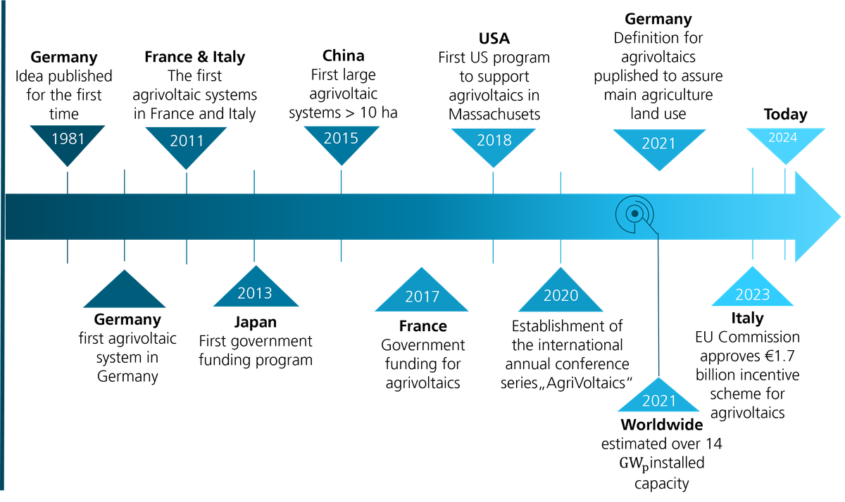 timeline 3